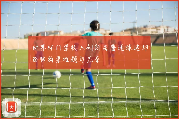 世界杯门票收入创新高普通球迷却面临购票难题与无奈