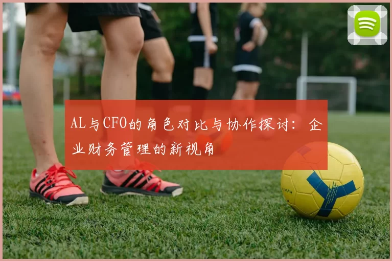 AL与CFO的角色对比与协作探讨：企业财务管理的新视角