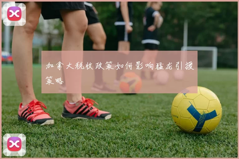 加拿大税收政策如何影响猛龙引援策略
