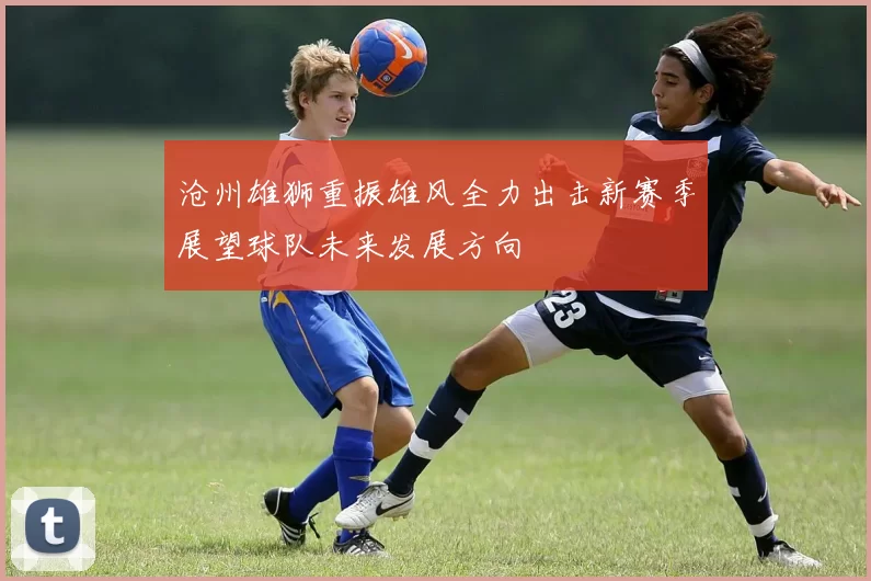沧州雄狮重振雄风全力出击新赛季展望球队未来发展方向